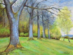 Na kraji lesa 50x65
